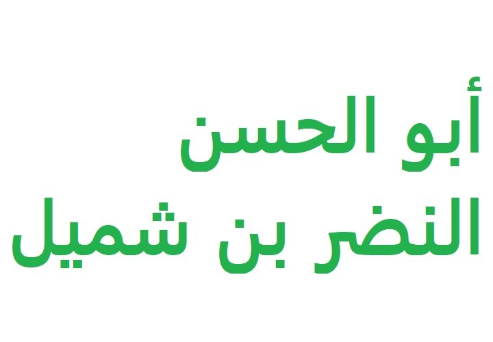   أبو الحسن النضر بن شميل